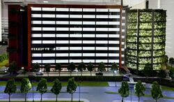Tukang Innovation Drive (D22), Factory #550069431